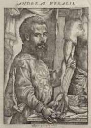 Vesalio