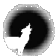 www.steppa.net
