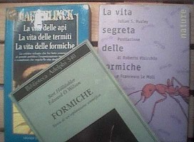 libri mirmecologia