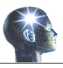 cervello