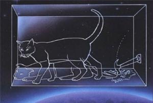 Gatto