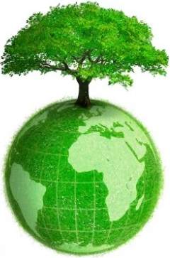 GREEN-ECONOMY