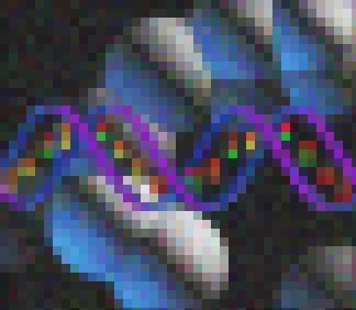 Junkdna