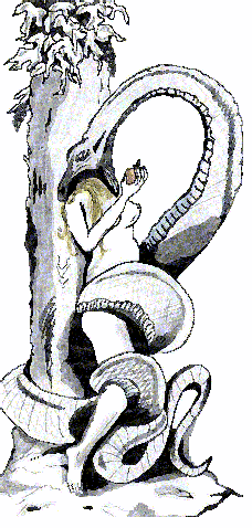 Disegno di Eva e il serpente